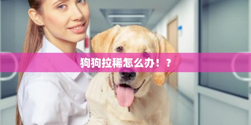 狗狗拉稀怎么办！？