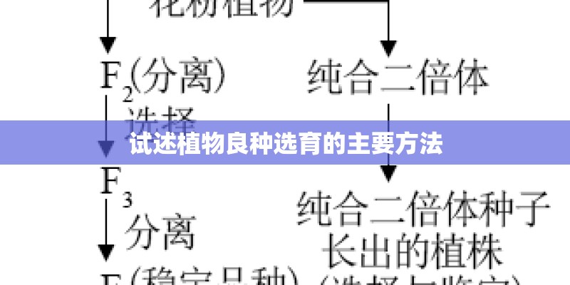 试述植物良种选育的主要方法