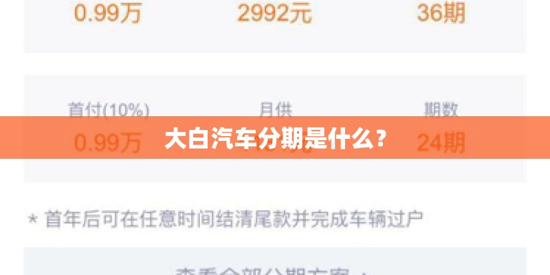 大白汽车分期是什么？