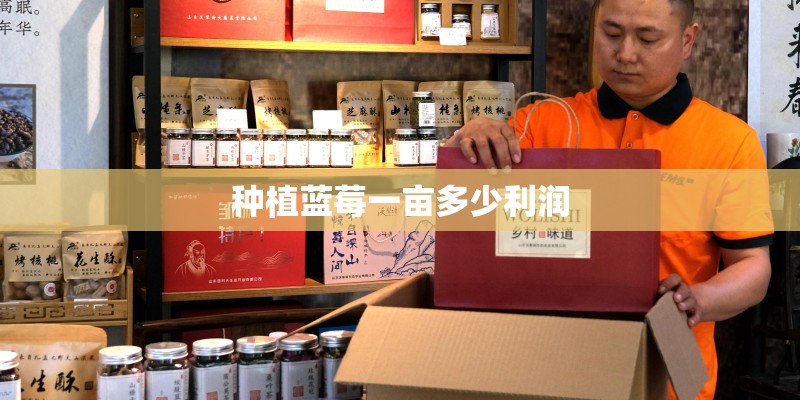 种植蓝莓一亩多少利润