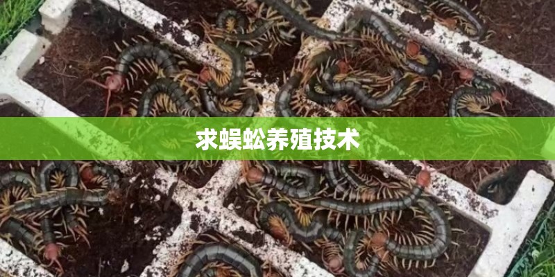 求蜈蚣养殖技术