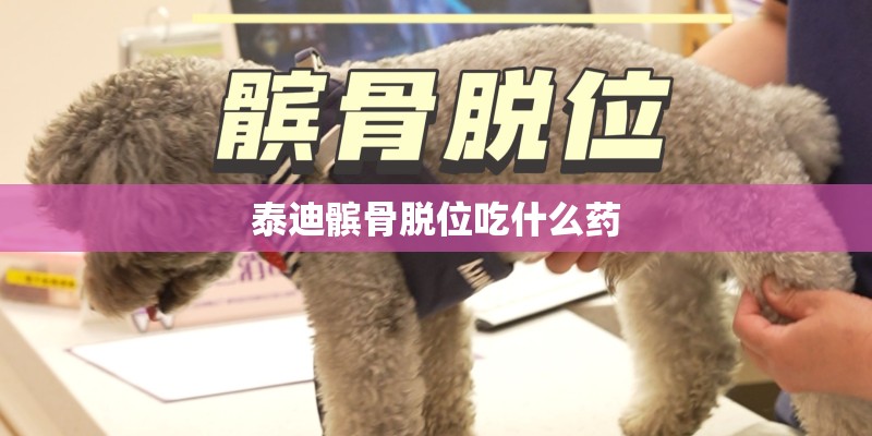 泰迪髌骨脱位吃什么药