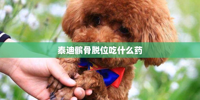 泰迪髌骨脱位吃什么药