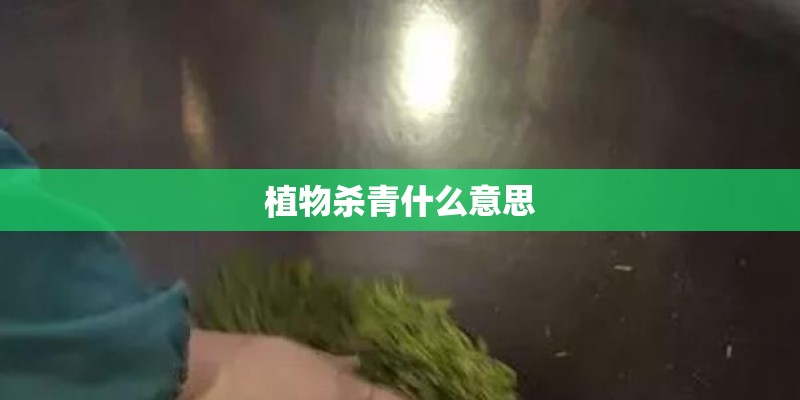 植物杀青什么意思 植物杀青什么意思