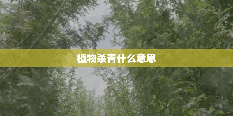 植物杀青什么意思 植物杀青什么意思