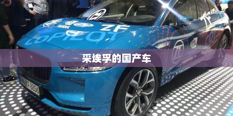 采埃孚的国产车