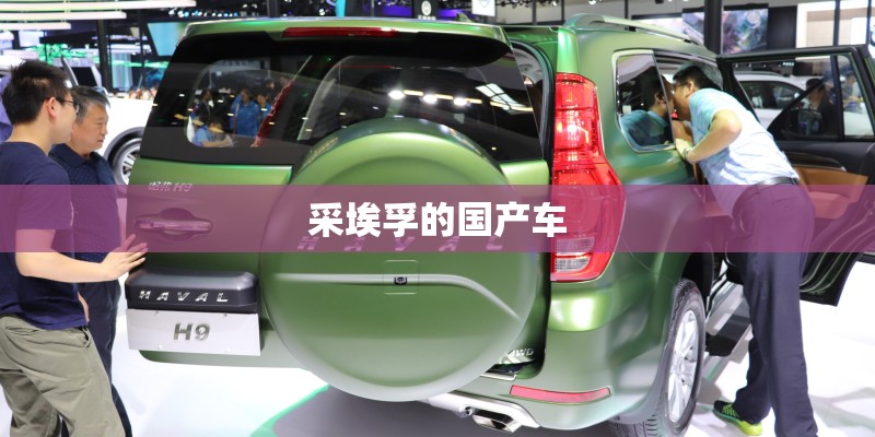 采埃孚的国产车 采埃孚的国产车