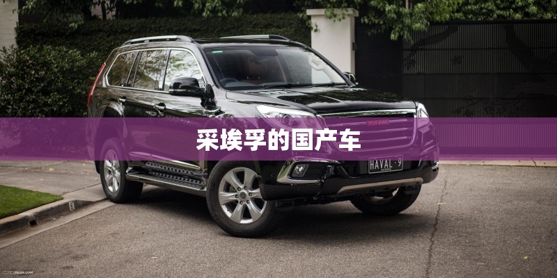 采埃孚的国产车 采埃孚的国产车