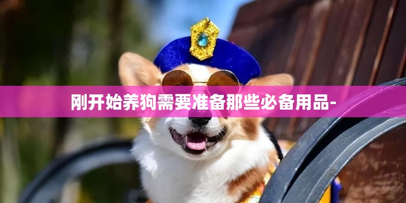 刚开始养狗需要准备那些必备用品-