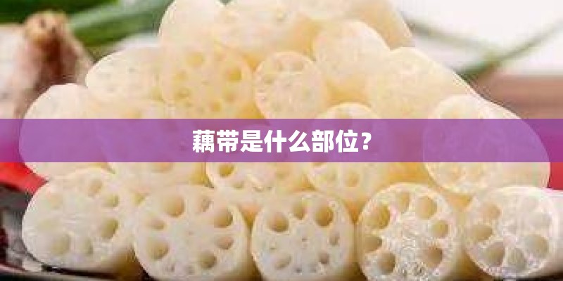 藕带是什么部位？