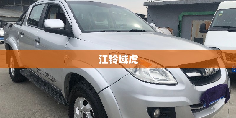国产汽车（以奇瑞为例）能开几年？