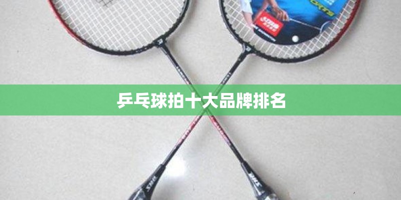 乒乓球拍十大品牌排名