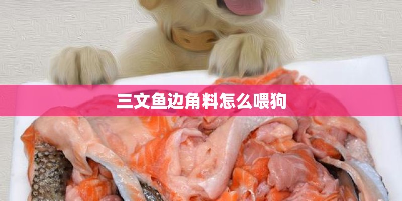 三文鱼边角料怎么喂狗