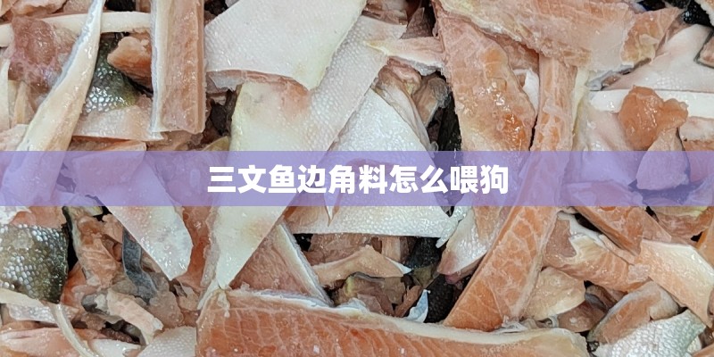 三文鱼边角料怎么喂狗