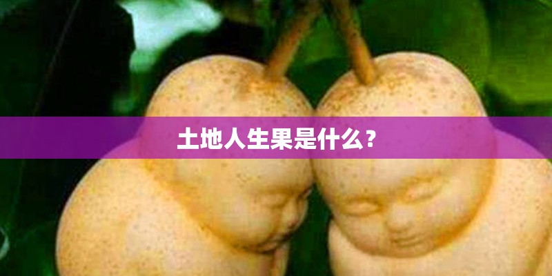 土地人生果是什么？