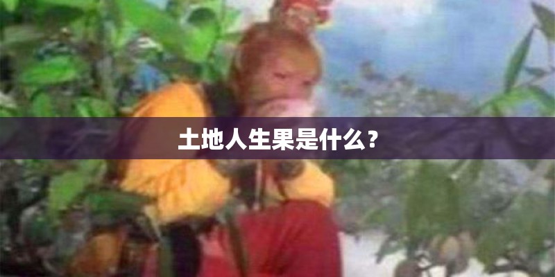 土地人生果是什么？