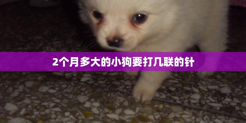 2个月多大的小狗要打几联的针