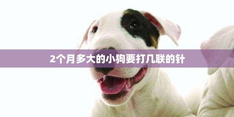 2个月多大的小狗要打几联的针