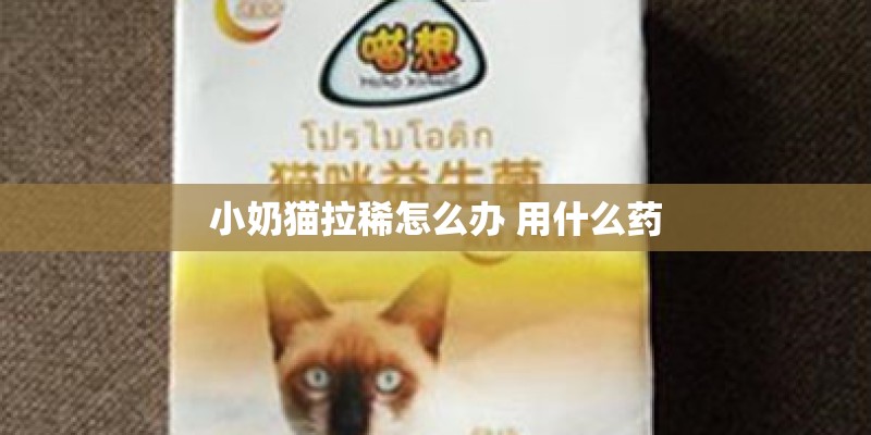 小奶猫拉稀怎么办 用什么药