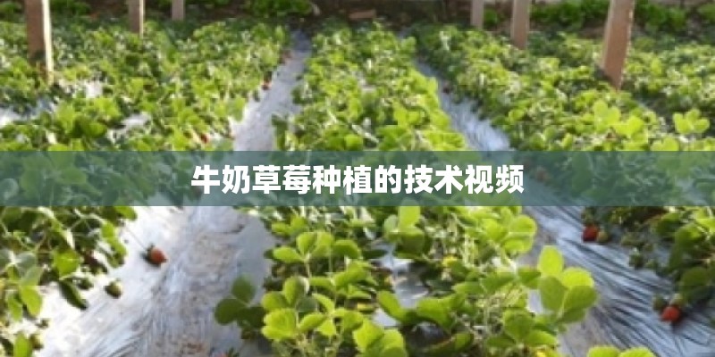 老款别克凯越中控功能