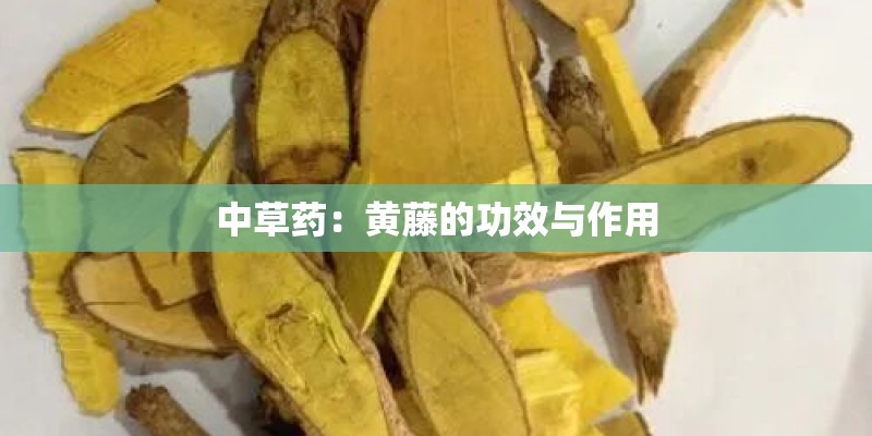 中草药：黄藤的功效与作用