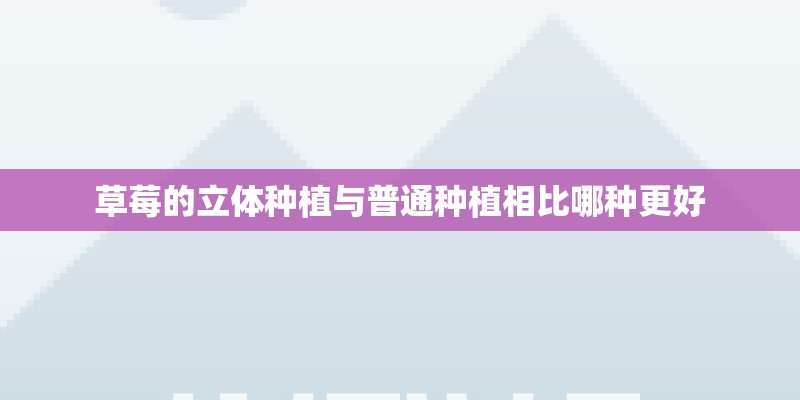 草莓的立体种植与普通种植相比哪种更好 草莓的立体种植与普通种植相比哪种更好