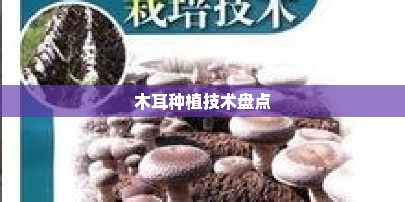 木耳种植技术盘点