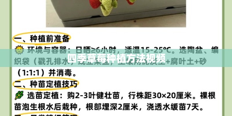 四季草莓种植方法视频