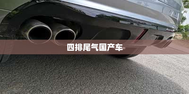 四排尾气国产车 四排尾气国产车