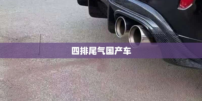 四排尾气国产车 四排尾气国产车