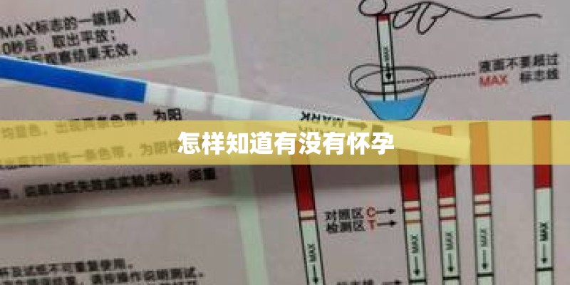 怎样知道有没有怀孕