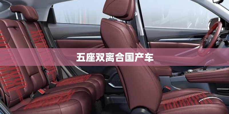 五座双离合国产车