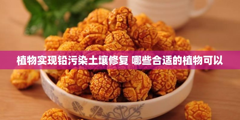 植物实现铅污染土壤修复 哪些合适的植物可以