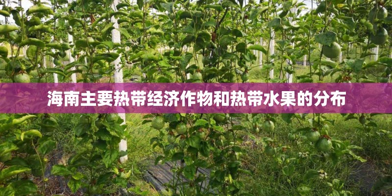 海南主要热带经济作物和热带水果的分布