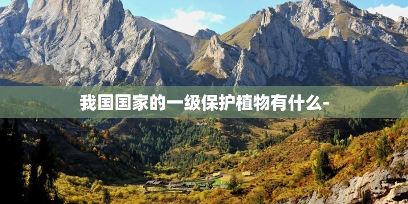 我国国家的一级保护植物有什么-
