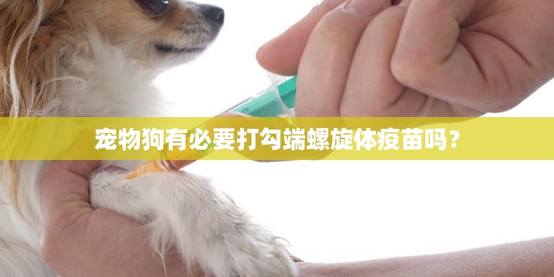 宠物狗有必要打勾端螺旋体疫苗吗？
