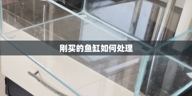 刚买的鱼缸如何处理