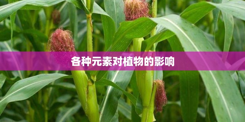 各种元素对植物的影响
