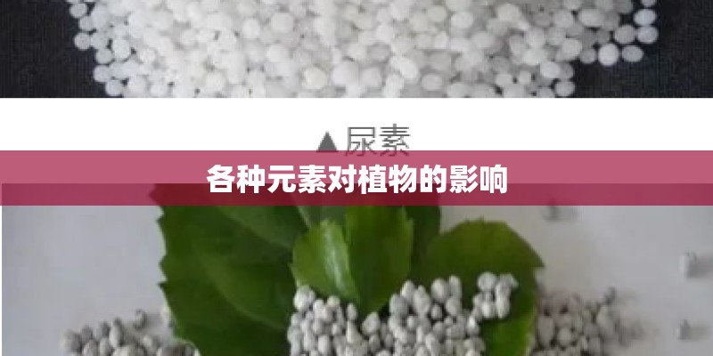 各种元素对植物的影响