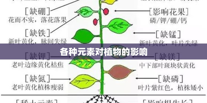 各种元素对植物的影响