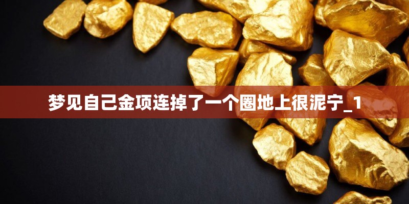 梦见自己金项连掉了一个圈地上很泥宁_1