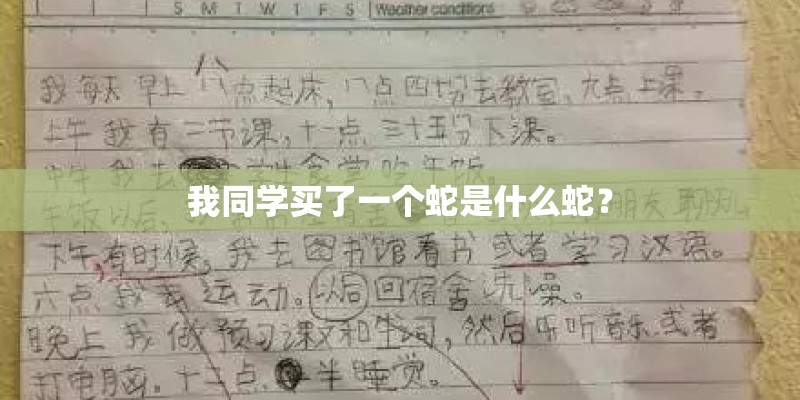 我同学买了一个蛇是什么蛇？