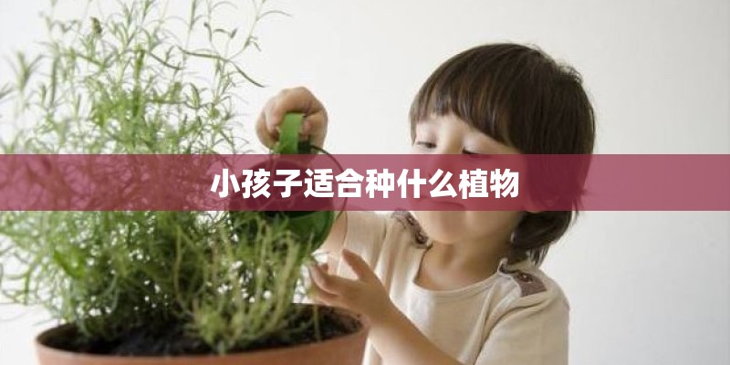 小孩子适合种什么植物