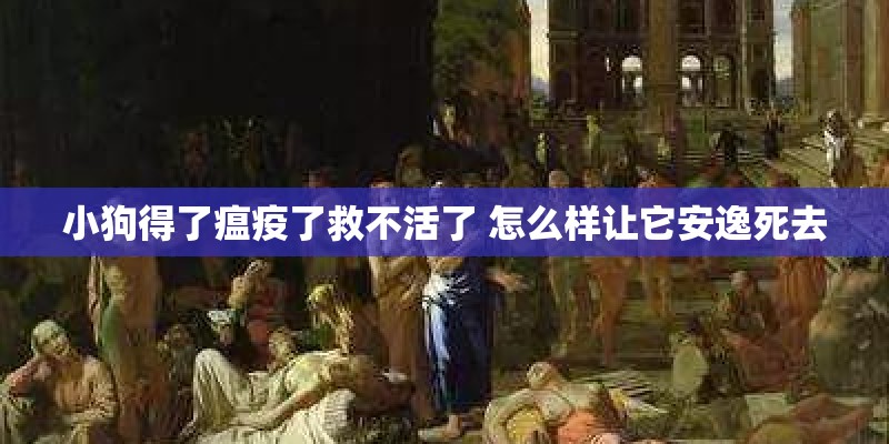 小狗得了瘟疫了救不活了 怎么样让它安逸死去