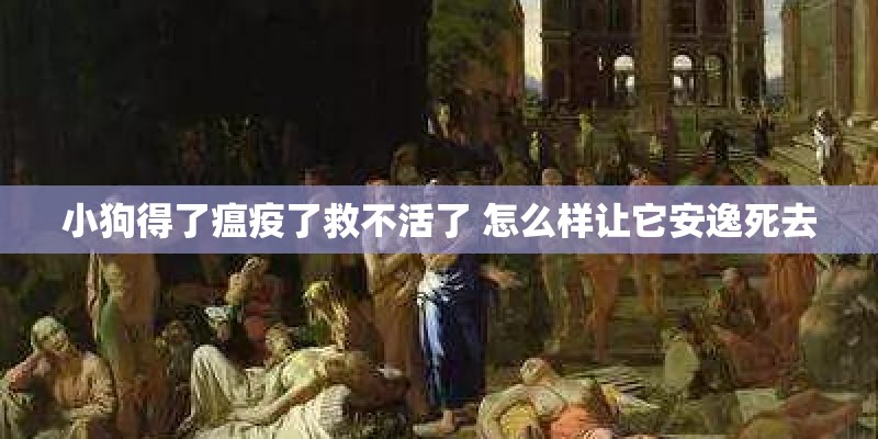 小狗得了瘟疫了救不活了 怎么样让它安逸死去