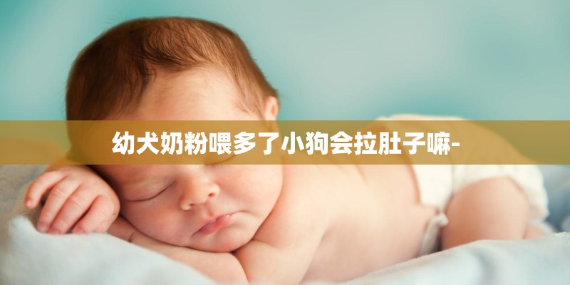 幼犬奶粉喂多了小狗会拉肚子嘛-