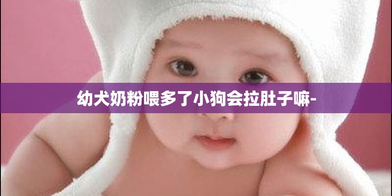 幼犬奶粉喂多了小狗会拉肚子嘛-