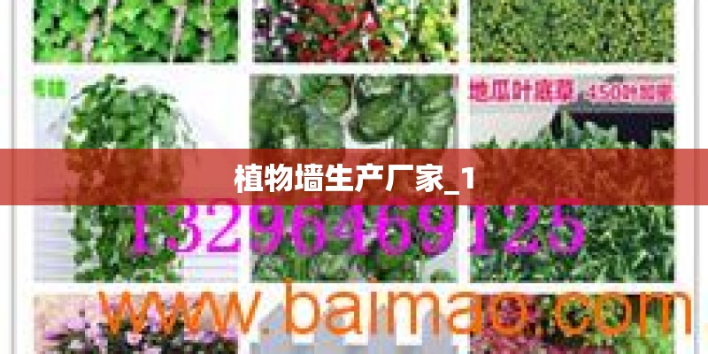 植物墙生产厂家_1