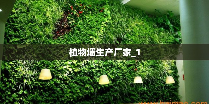 植物墙生产厂家_1