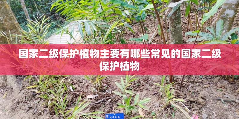 国家二级保护植物主要有哪些常见的国家二级保护植物